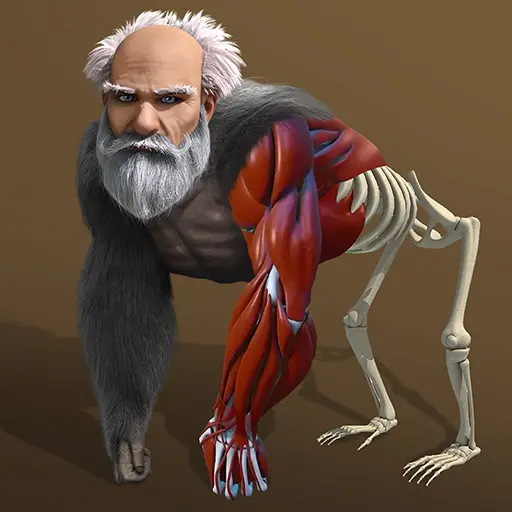 ايدل إفولوشن Idle Evolution