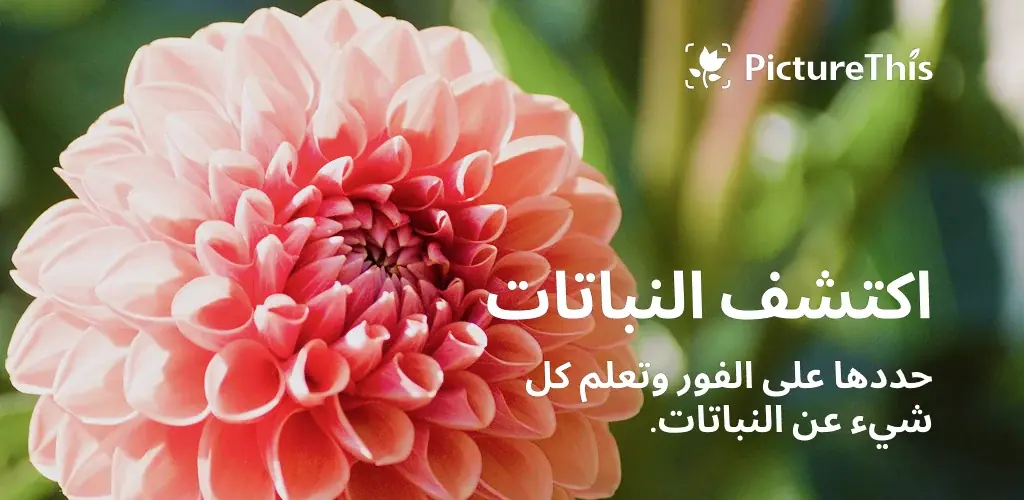 PictureThis – تحديد النباتا